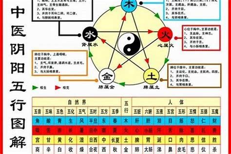 五行判定|如何查自己五行什么命 快速查自己的五行属性